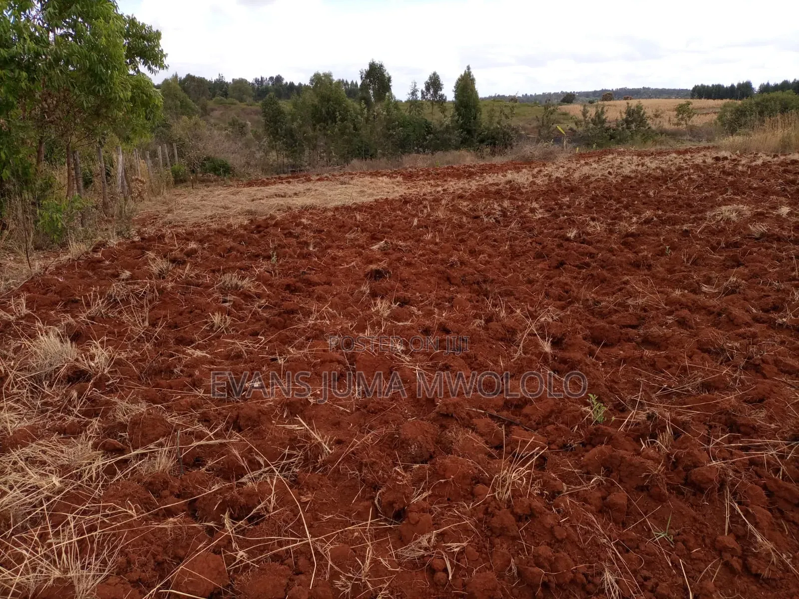 Makuta Ya Mwea Plots