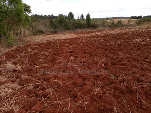 Makuta Ya Mwea Plots
