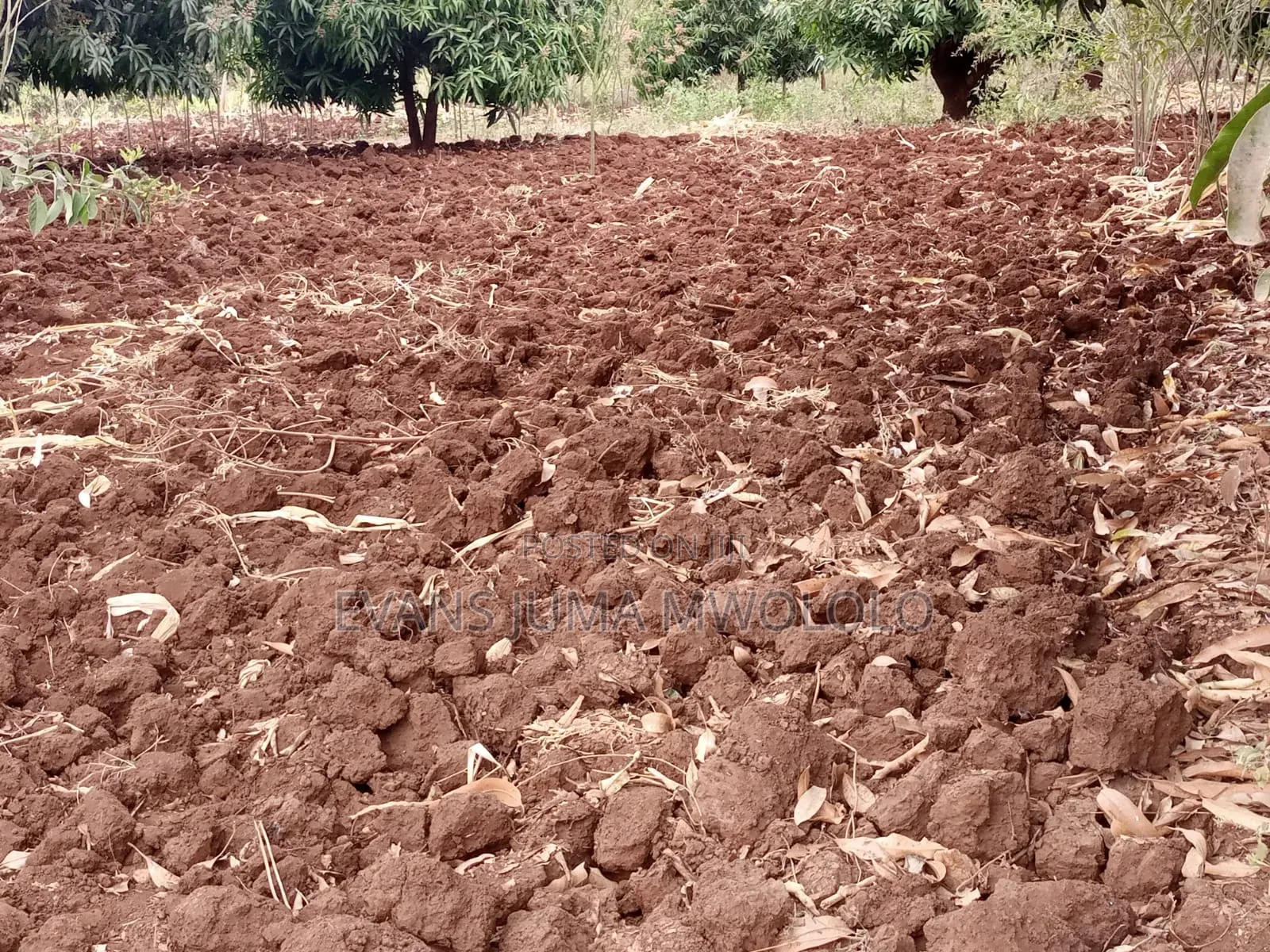 Makuta Ya Mwea Plots