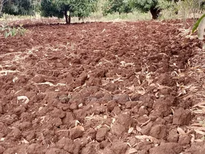 Makuta Ya Mwea Plots