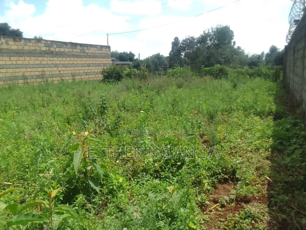 Plot for Sale