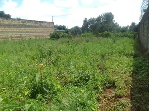 Plot for Sale