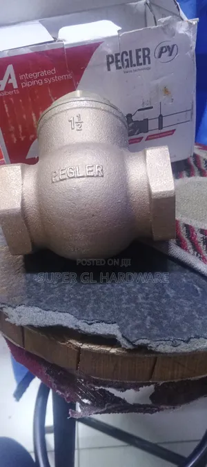 Non Return Valve