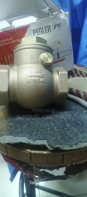 Non Return Valve