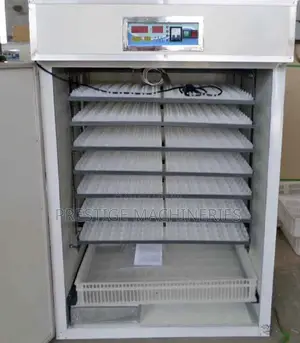 528 Automatic Eggs Incubator Machine/Modern Eggs Incubator Machine 320