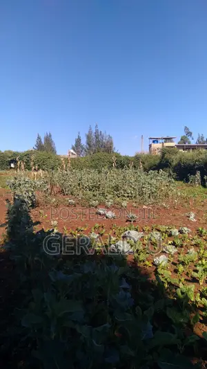 0.35 Acre Freehold Land | Rironi-Limuru | KSH 8.5m