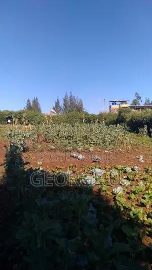 0.35 Acre Freehold Land | Rironi-Limuru | KSH 8.5m