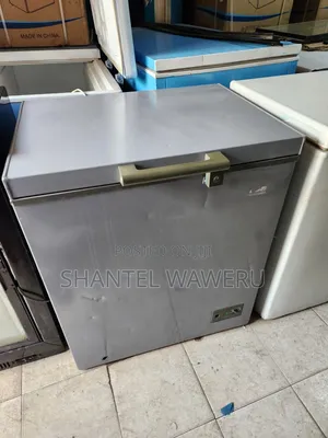Ssilver Deep Freezer