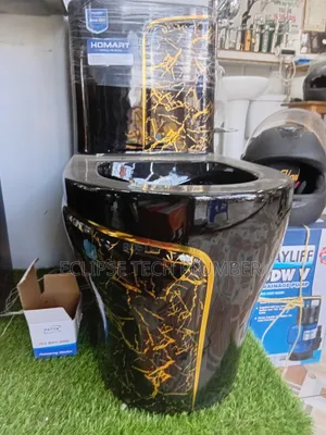 Professional Plumber