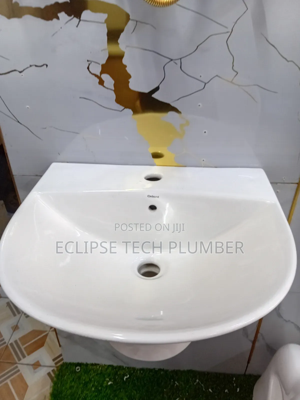 Professional Plumber