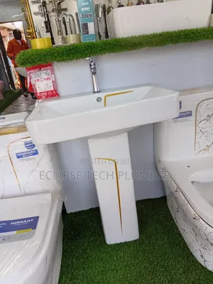 Professional Plumber