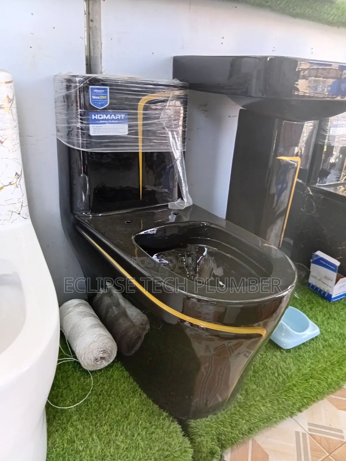 Professional Plumber