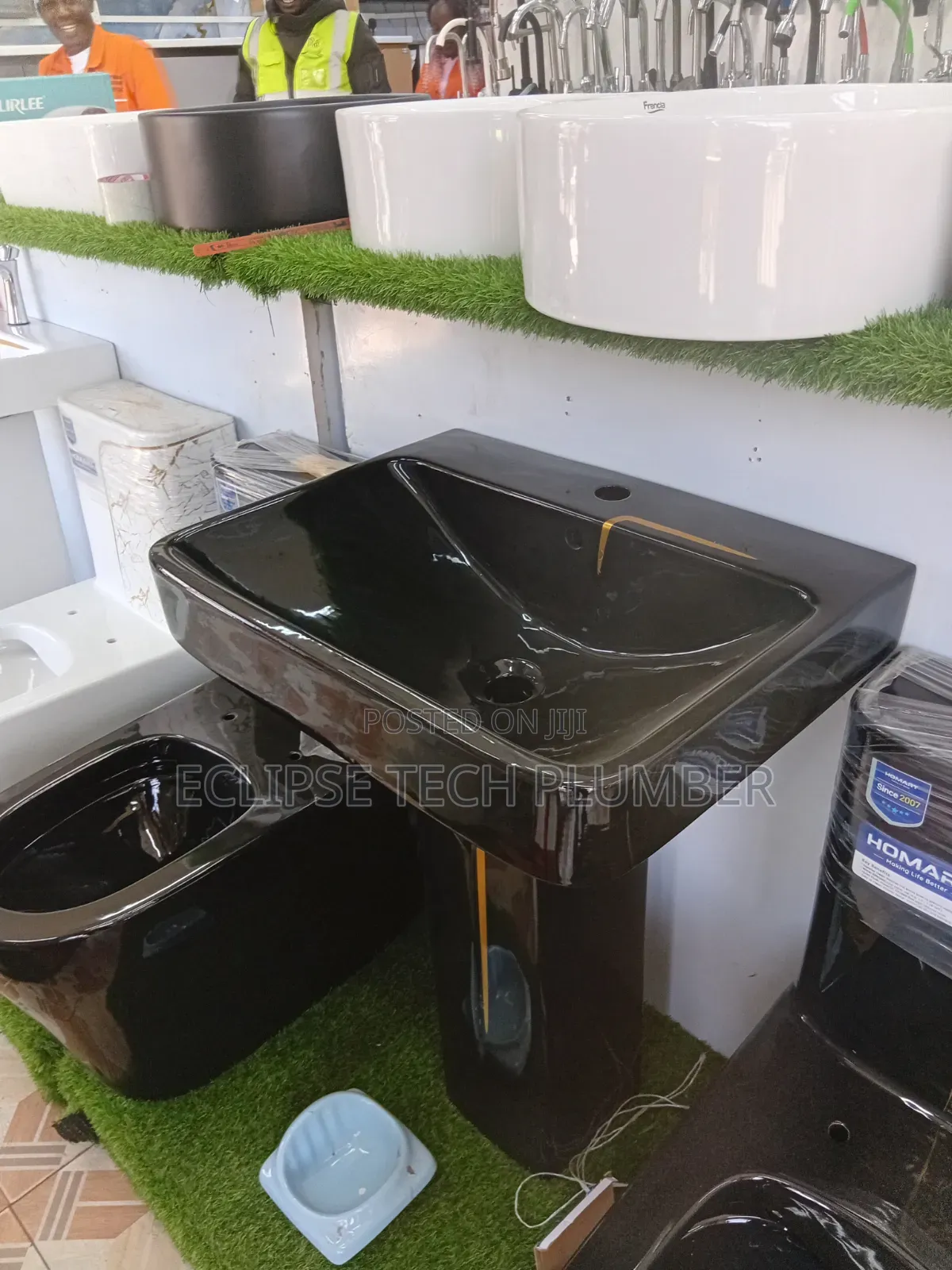 Professional Plumber