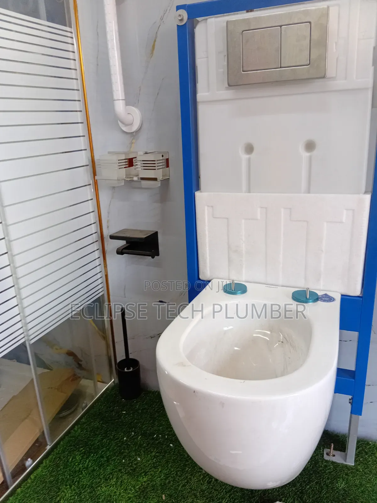 Professional Plumber