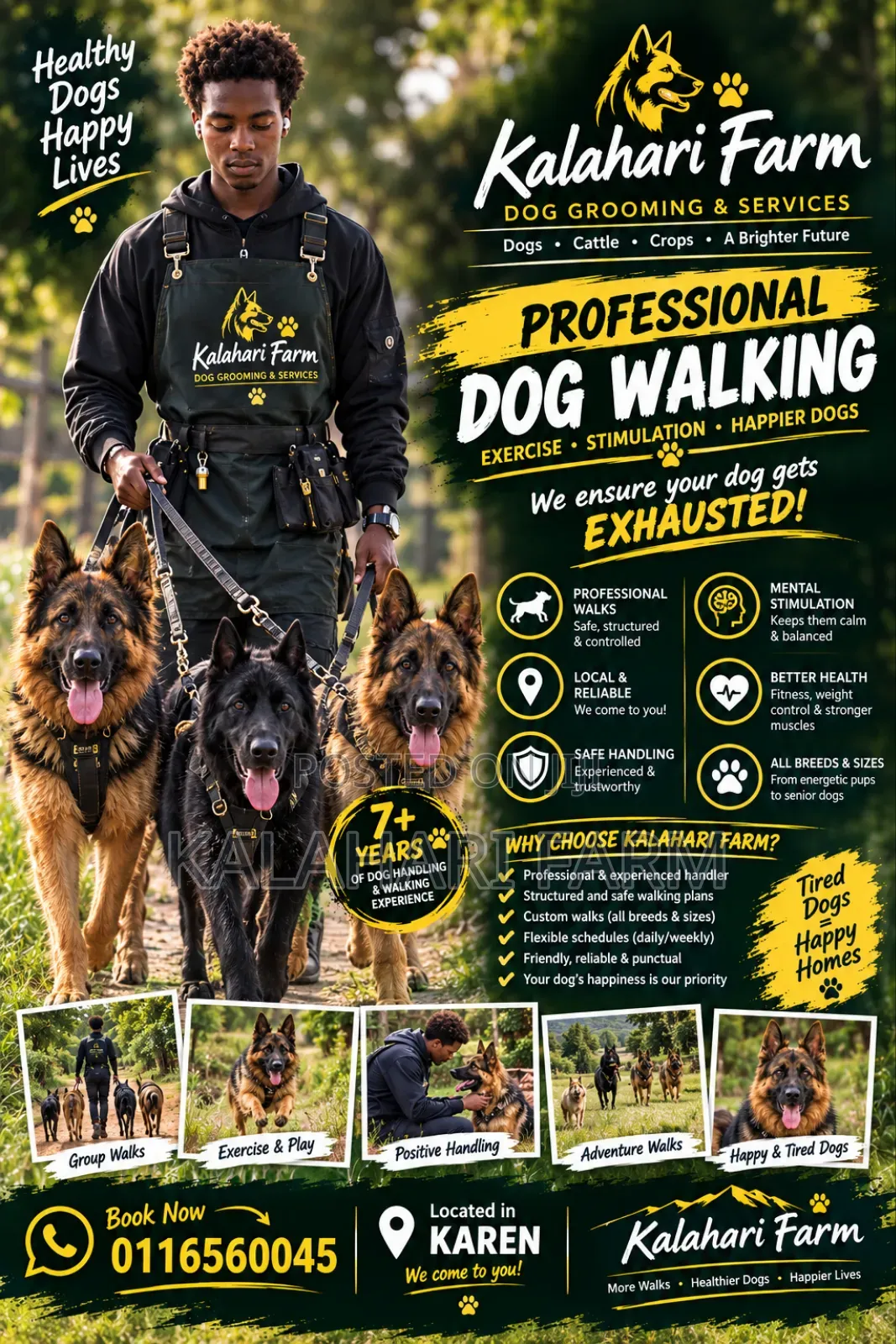 Dog Walking