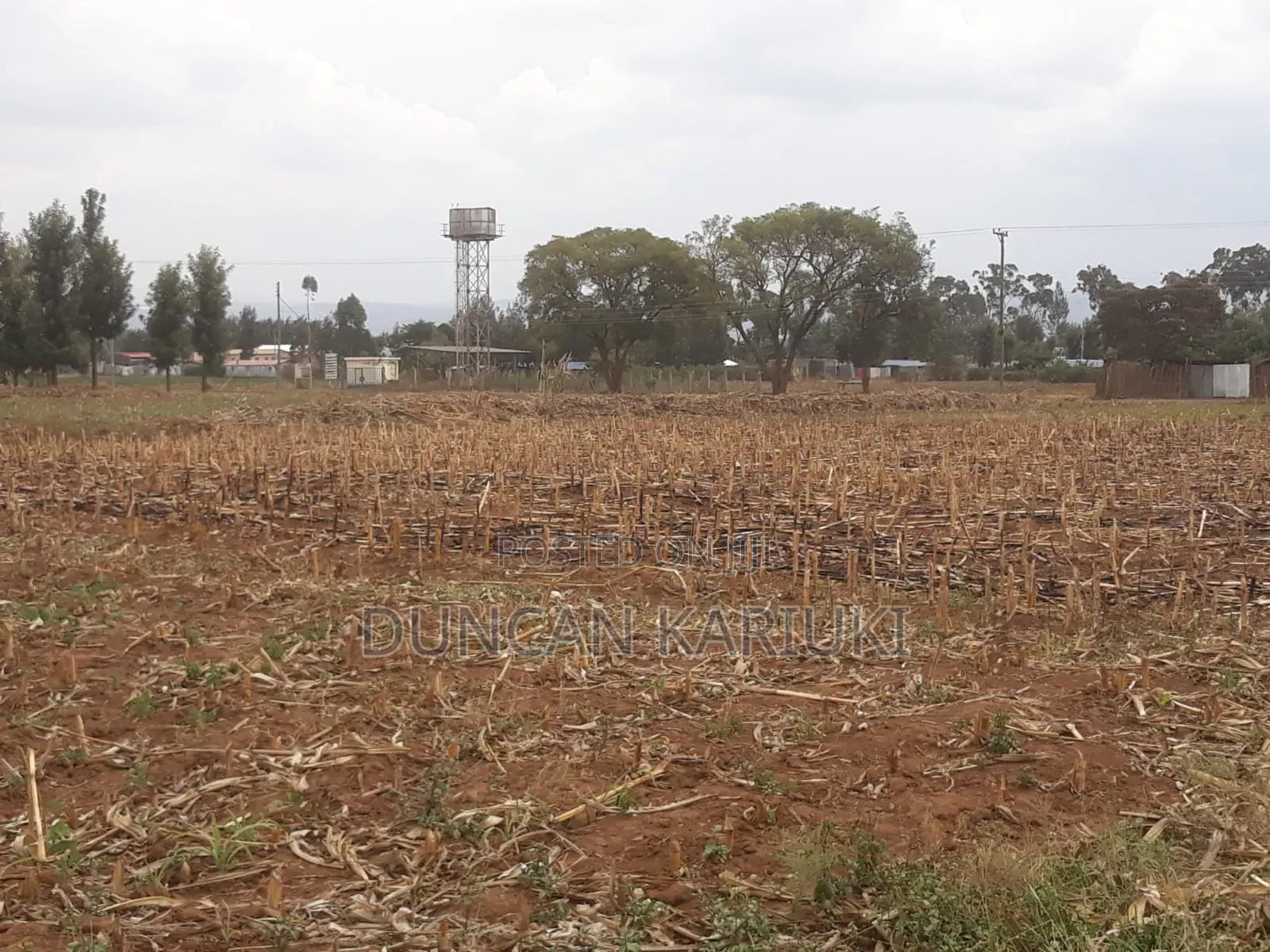 Plots for Sell