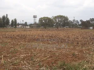 Plots for Sell