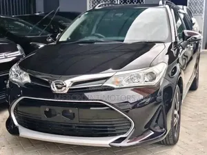 Toyota Corolla Fielder 2019 Black