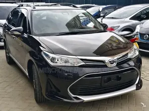 Toyota Corolla Fielder 2019 Black