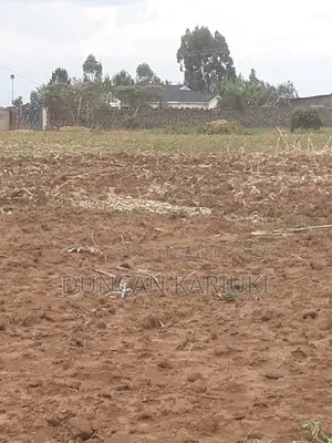 Plots for Sell