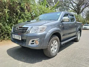 Toyota Hilux 3.0 D-4D Double Cab 2008 Gray