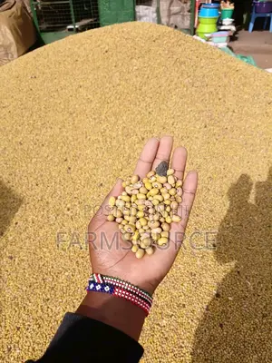 Yellow Beans