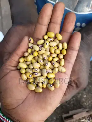 Yellow Beans