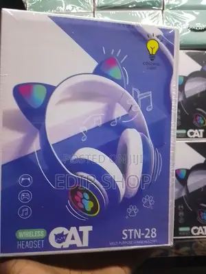 Blue Color Wireless Kids Headphones