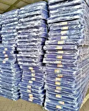 Morning Glory School Mattress- Blue
