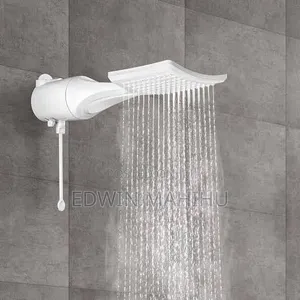Lorenzeti Shower Head