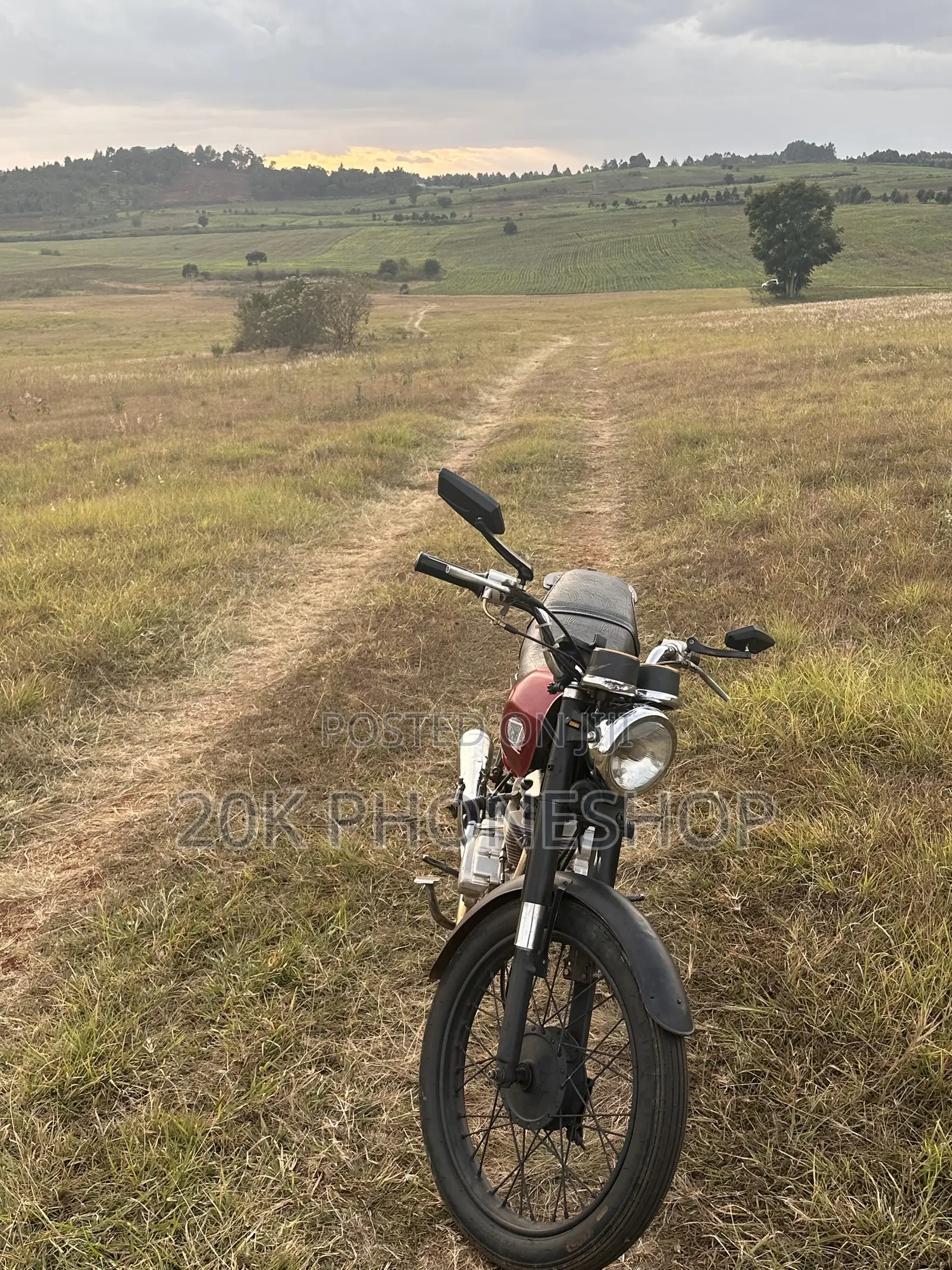Honda 2014 Red