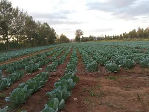 Riverfront Agriculture Land for Sale- Kampi Ya Moto