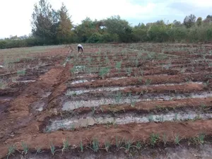 Riverfront Agriculture Land for Sale- Kampi Ya Moto