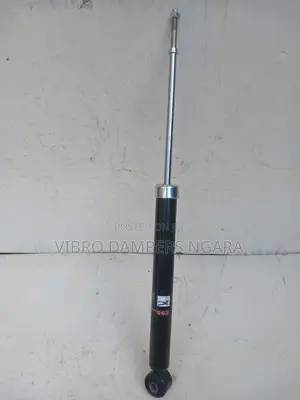 Nissan Sylphy Rear Shock