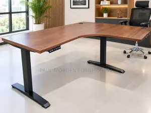 Office /Home Office L Shape Dual Motor Electric