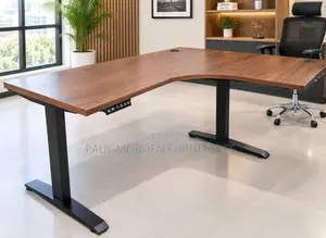 Office /Home Office L Shape Dual Motor Electric