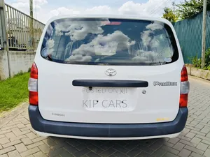 Toyota Probox 1.5 DX 4WD 2019 White