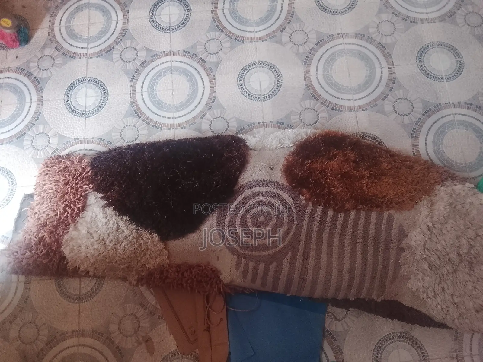 Persian Carpet 5"8 and Fluffy Carpet 5"8
