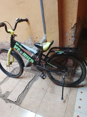 Selling a Premier Bicycle Size 20 in a Good Condition