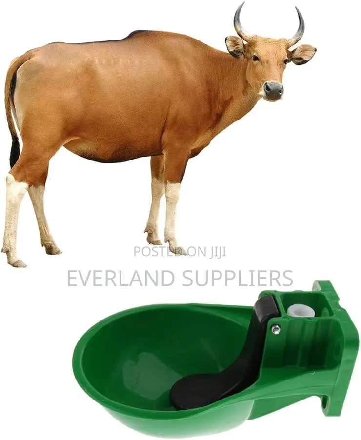 Cow Self-Service Water Plastic Drinker