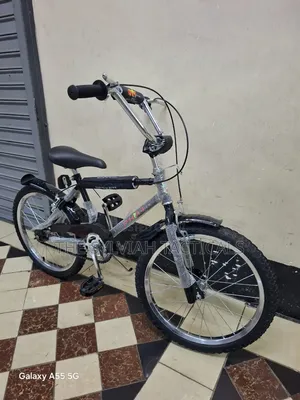 Original Taiwan Bicycle Size 20
