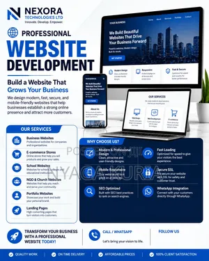 Professional Business Website Development in Kenya