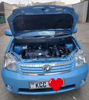 Toyota Raum 2009 Blue