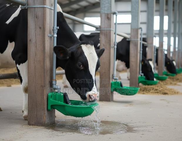 Automatic Drinking Bowl for Cows - main view