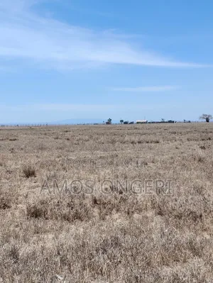 Amos 50*100 Plot in Kitengela