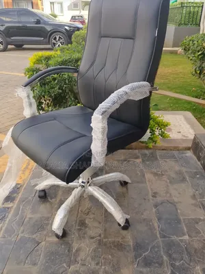 Executive Seat