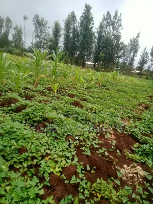 1 Acre on Sale at Kagio