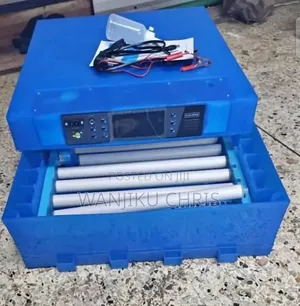 64 Eggs Incubator AC/Dc