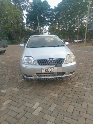 Toyota Corolla Fielder 2004 Silver