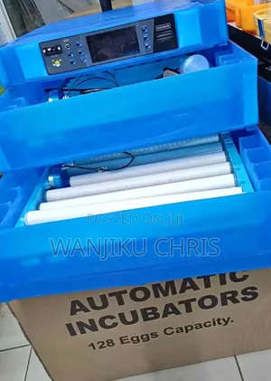 Egg Incubator, 128 Eggs AC/DC